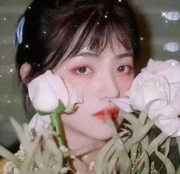 冷案